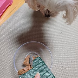 베스트 후기 이미지