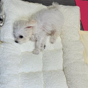 베스트 후기 이미지