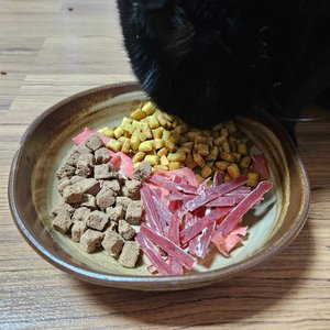 베스트 후기 이미지