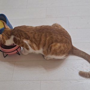 베스트 후기 이미지