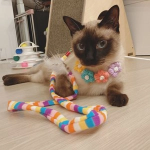 [무료배송] 개달당 꽃송이 뜨개 초커 꽃목걸이 베스트 후기 이미지