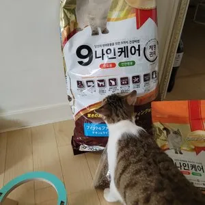 베스트 후기 이미지