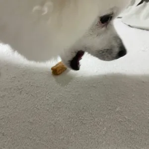 베스트 후기 이미지