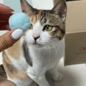 베스트 후기 이미지