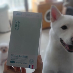 베스트 후기 이미지