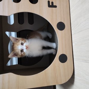 베스트 후기 이미지