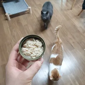 베스트 후기 이미지