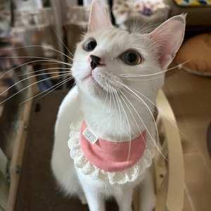 베스트 후기 이미지
