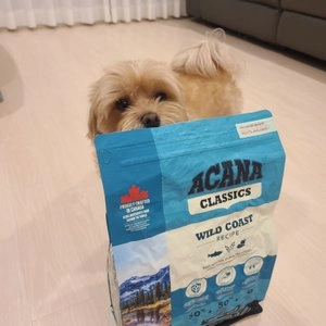 [창고대방출] 아카나 독 와일드 코스트 레시피 2kg 베스트 후기 이미지