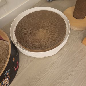 베스트 후기 이미지