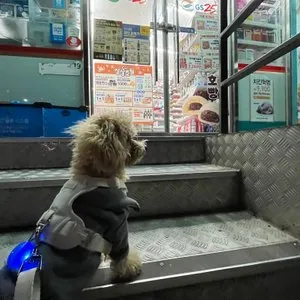 베스트 후기 이미지