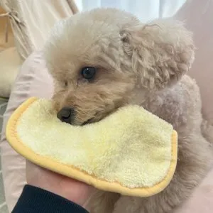 베스트 후기 이미지