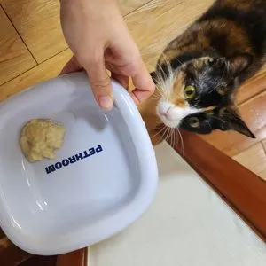 베스트 후기 이미지