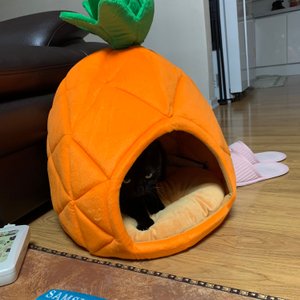 베스트 후기 이미지