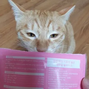 베스트 후기 이미지