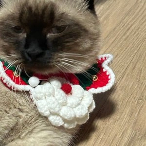 [무료배송] 도그아이 산타 스카프 케이프 XS-L 베스트 후기 이미지