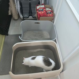 베스트 후기 이미지