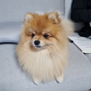 베스트 후기 이미지