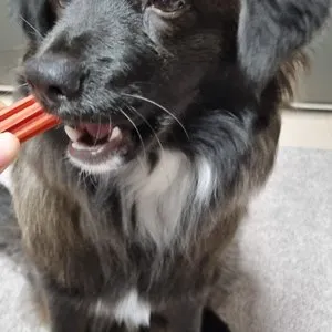 베스트 후기 이미지