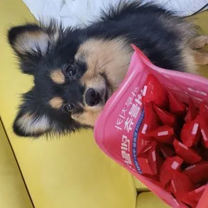 베스트 후기 이미지