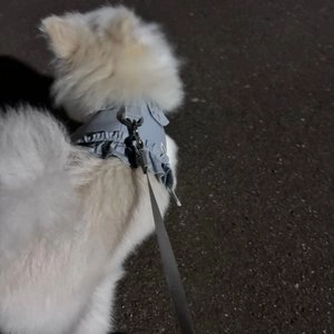 [무료배송] 펫츠랜드 루나 프릴 하네스 멜론그린/밀키블루/아이보리 S-L 베스트 후기 이미지