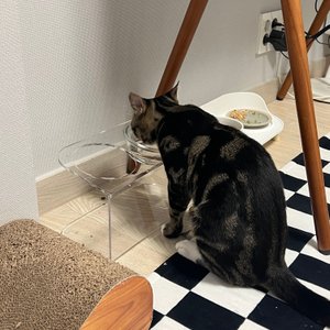 베스트 후기 이미지