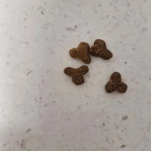 베스트 후기 이미지