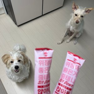 베스트 후기 이미지