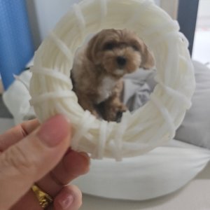 베스트 후기 이미지