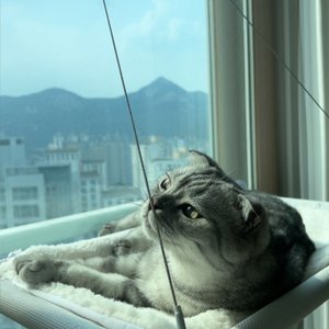 베스트 후기 이미지