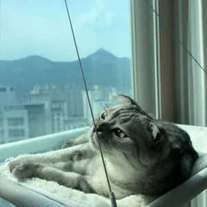 베스트 후기 이미지