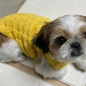 베스트 후기 이미지