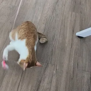 베스트 후기 이미지