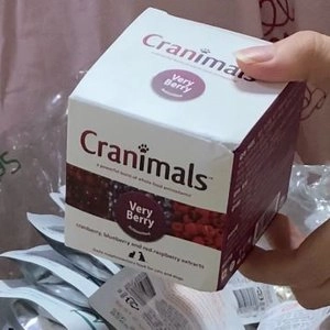 크래니멀 독 베리베리 60g 베스트 후기 이미지