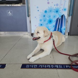 베스트 후기 이미지