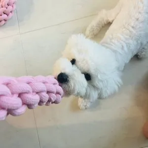 베스트 후기 이미지