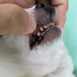 베스트 후기 이미지