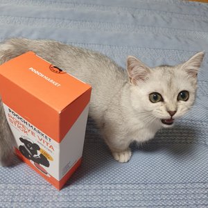 베스트 후기 이미지