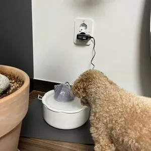 베스트 후기 이미지