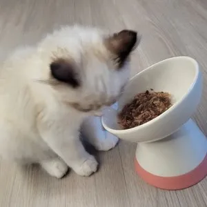 베스트 후기 이미지