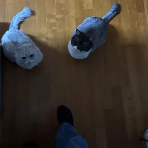 베스트 후기 이미지