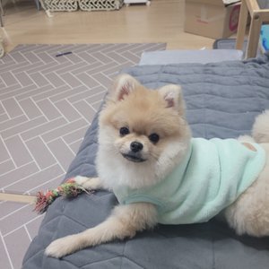 베스트 후기 이미지