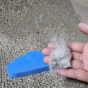 베스트 후기 이미지