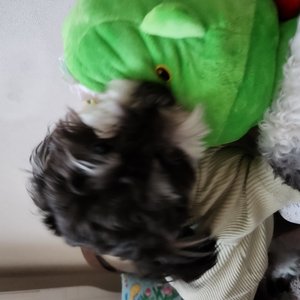 베스트 후기 이미지