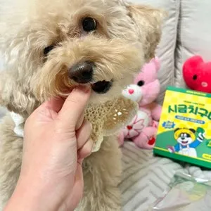 베스트 후기 이미지