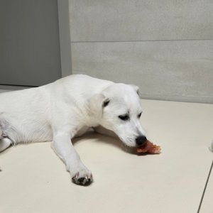 베스트 후기 이미지