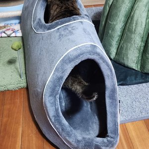 베스트 후기 이미지