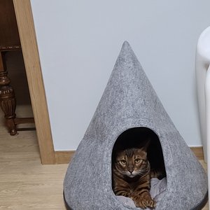 베스트 후기 이미지