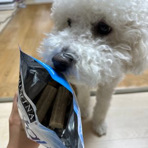 베스트 후기 이미지