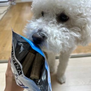 퓨리나 독 덴탈라이프 스몰&미디움 덴탈껌 198g 베스트 후기 이미지